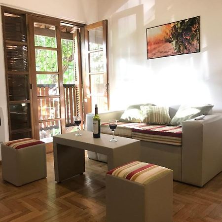 Mza Wine Apartment -Next To Aristides Street- First Class Mendoza Extérieur photo