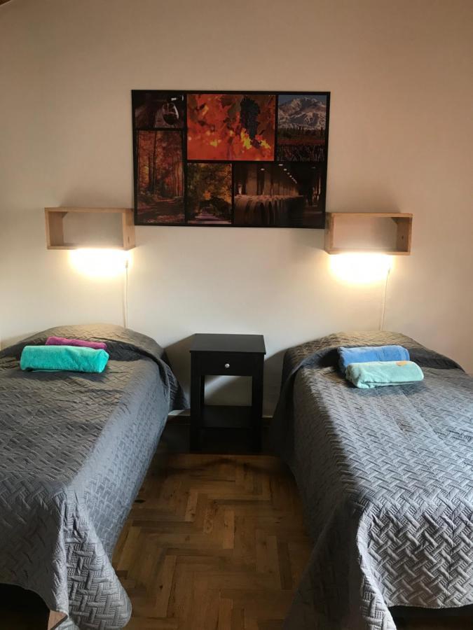 Mza Wine Apartment -Next To Aristides Street- First Class Mendoza Extérieur photo